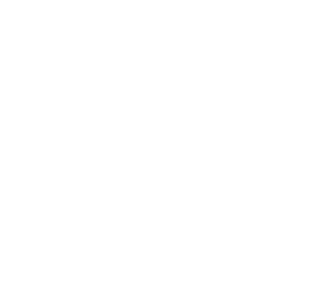 InstaVeselie